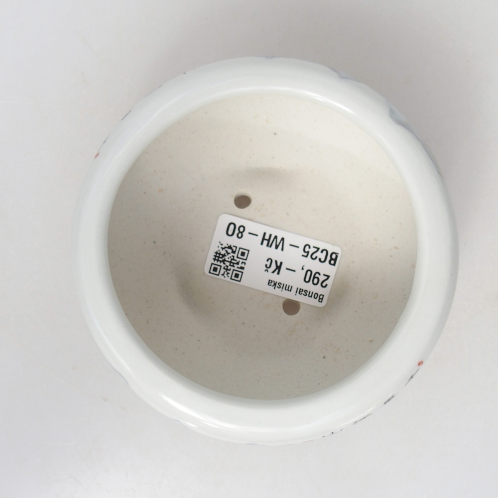 Bonsaischaal van keramiek 10 x 10 x 5 cm, kleur wit