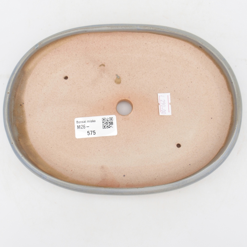 Bonsaischaal van keramiek 22 x 17 x 3 cm, kleur blauw