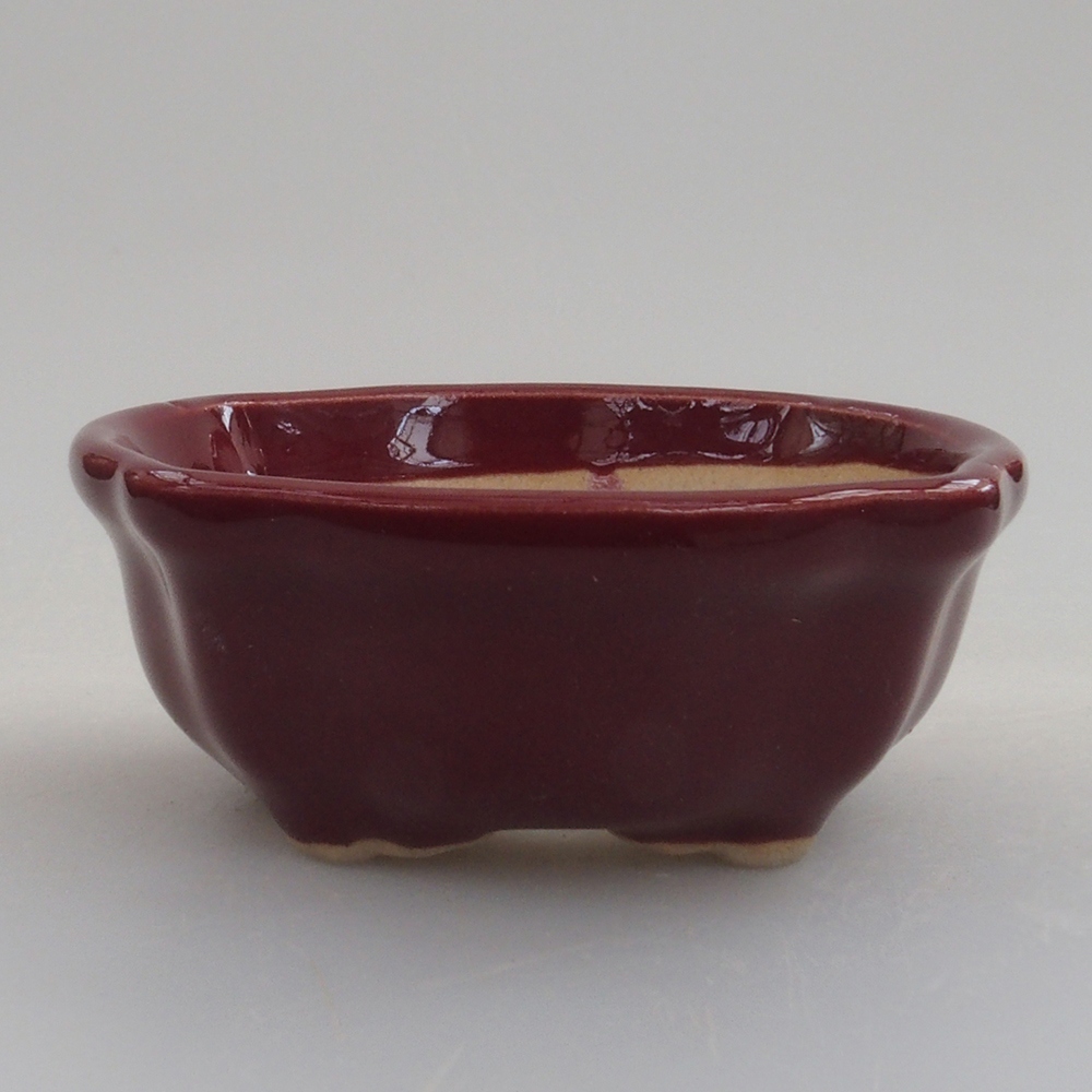 Mini bonsaischaal 6 x 6 x 2,5 cm, bordeauxrood