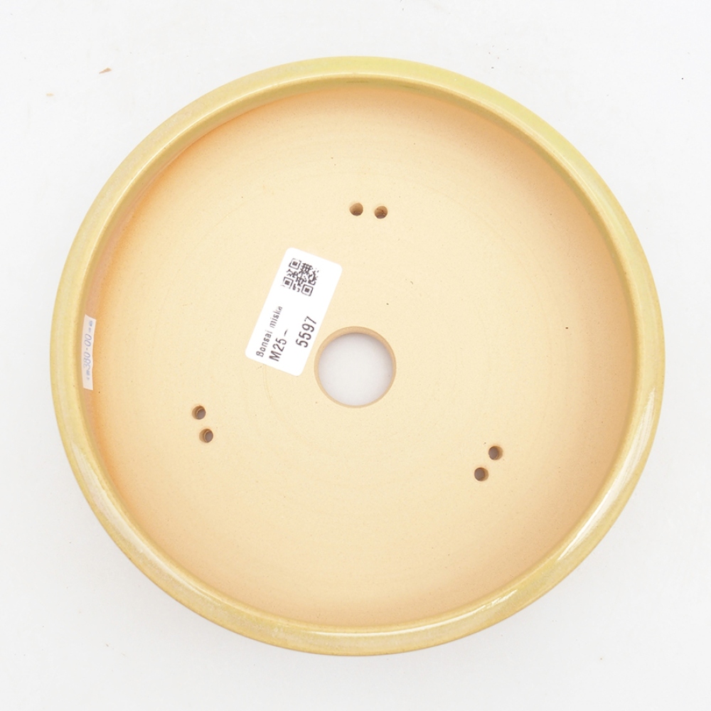 Bonsaischaal van keramiek 18 x 18 x 5 cm, groen