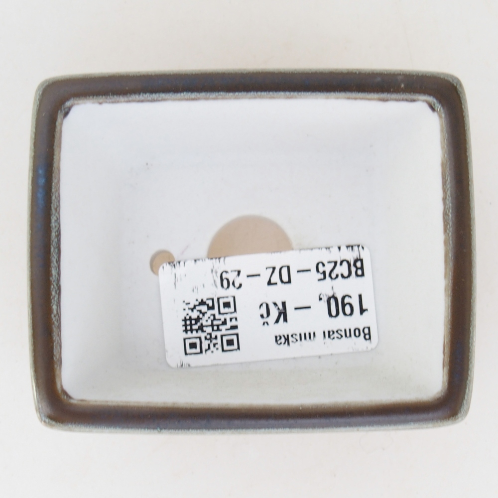 Mini bonsaischaal 7,5 x 6 x 3 cm, groen