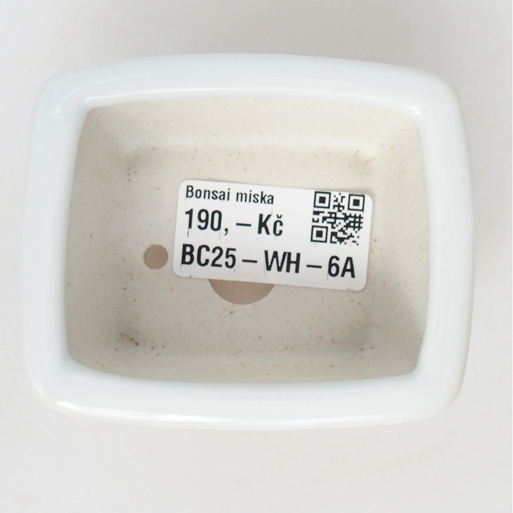 Mini bonsaischaal 8 x 6,5 x 3,5 cm, wit