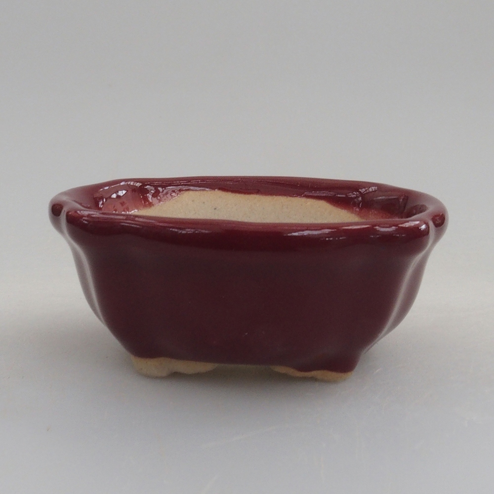 Mini bonsaischaal 6 x 6 x 2,5 cm, bordeauxrood