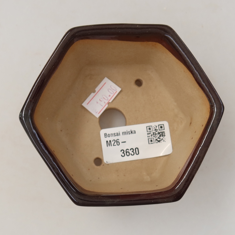 Bonsaischaal van keramiek 10 x 9 x 5 cm, bruin