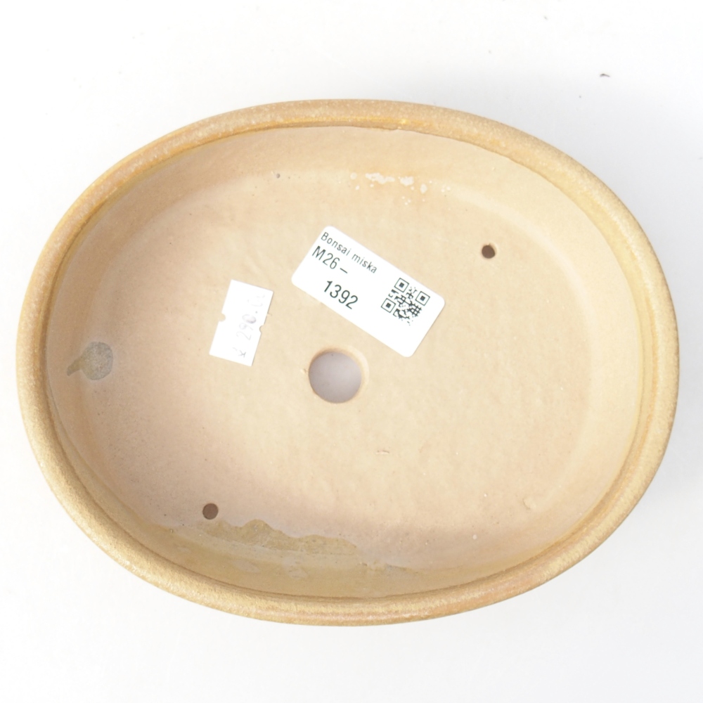 Bonsaischaal van keramiek 17 x 13,5 x 4 cm, kleur beige