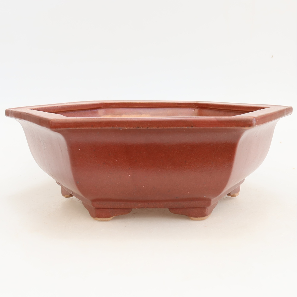 Keramische bonsaipot 28 x 24,5 x 9 cm, kleur bordeauxrood