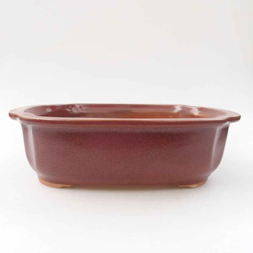 Bonsaischaal van keramiek 24,5 x 21 x 7 cm, kleur bordeauxrood