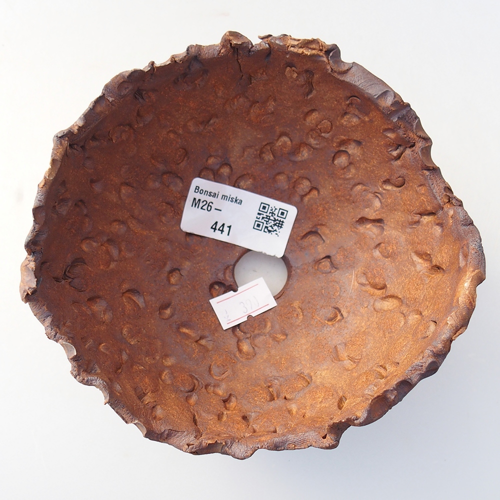 Keramisch Schelp 13 x 12,5 x 8,5 cm , kleur bruin