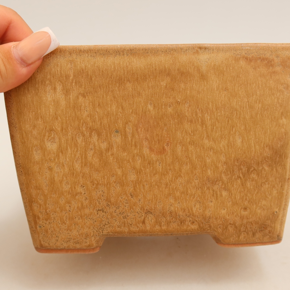 Keramische bonsaipot 15 x 15 x 10,5 cm, kleur: beige