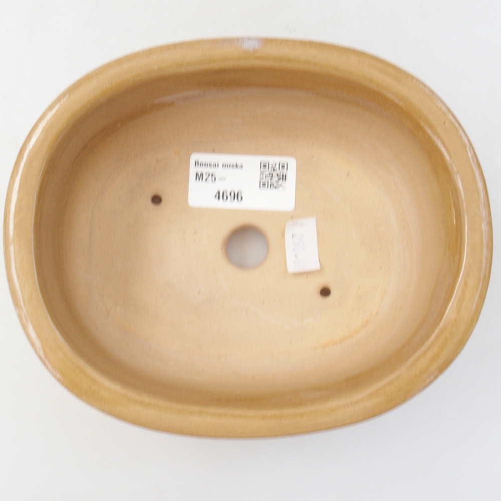 Bonsaischaal van keramiek 15,5 x 12 x 5,5 cm, kleur beige