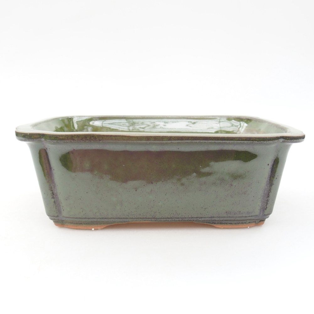 Bonsaischaal van keramiek 17,5 x 12,5 x 6 cm, groen