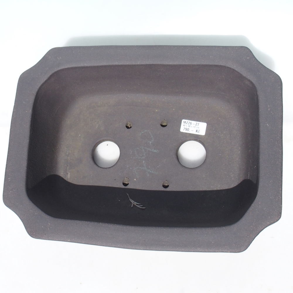 Bonsaischaal 40 x 30 x 12 cm - bruin