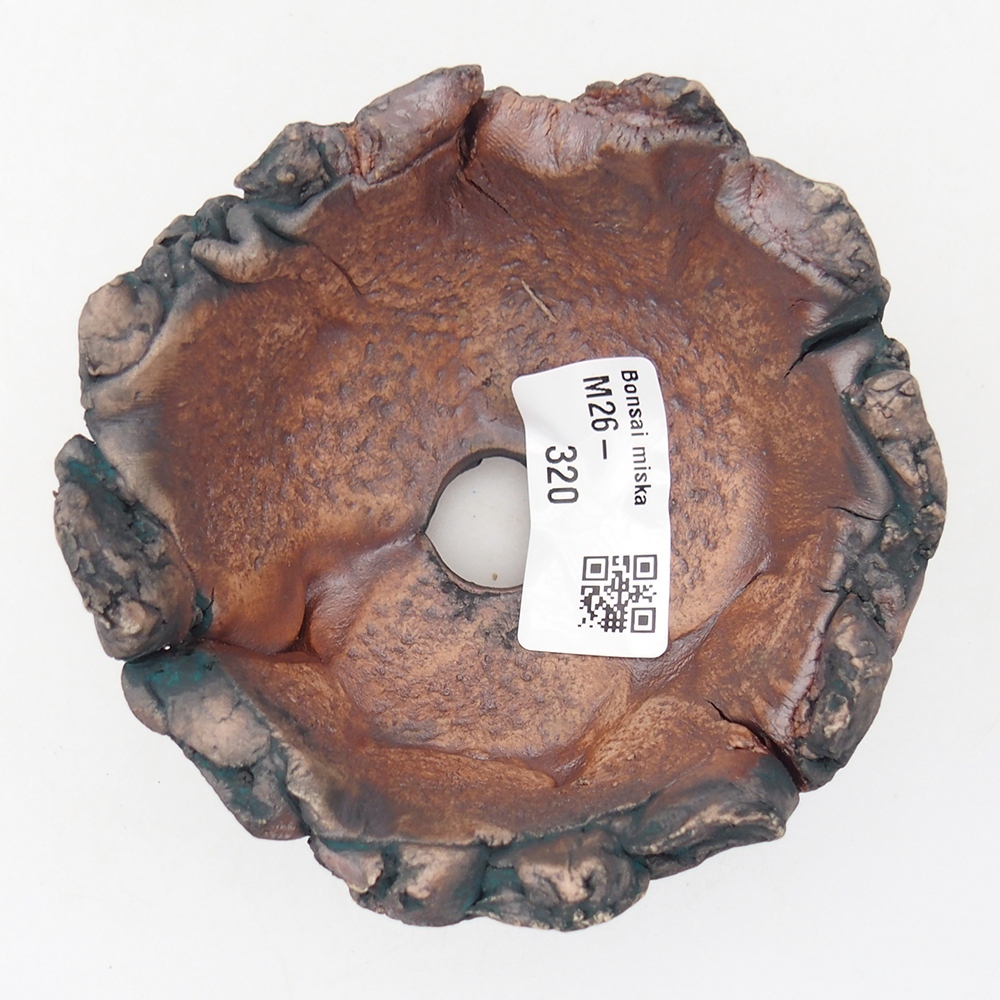 Keramisch Schelp 9,5 x 9 x 6 cm , kleur groen