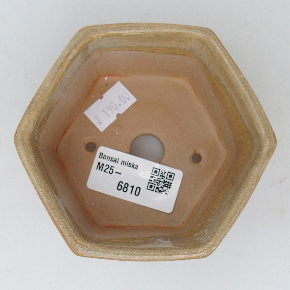 Bonsaischaal van keramiek 10,5 x 9,5 x 5 cm, kleur beige