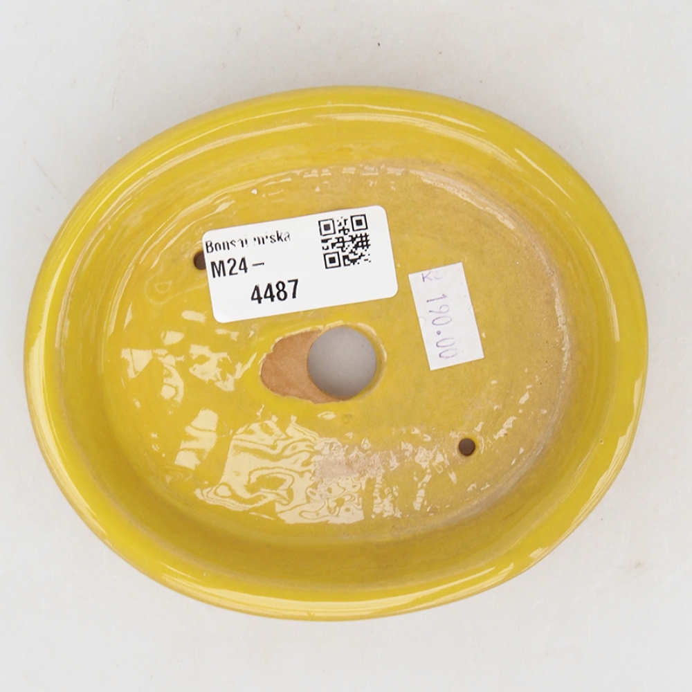 Bonsaischaal van keramiek 13 x 11 x 2,5 cm, geel