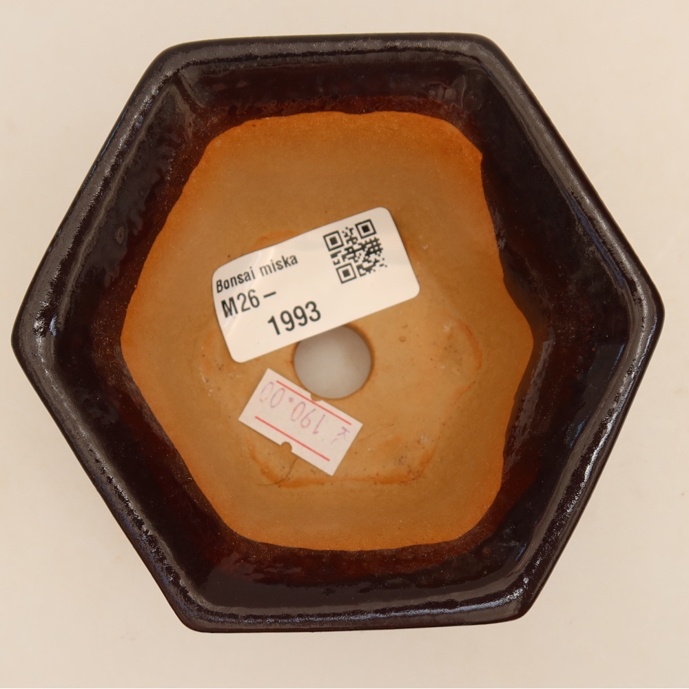 Keramische bonsaipot 10,5 x 9,5 x 5,5 cm, kleur: zwart