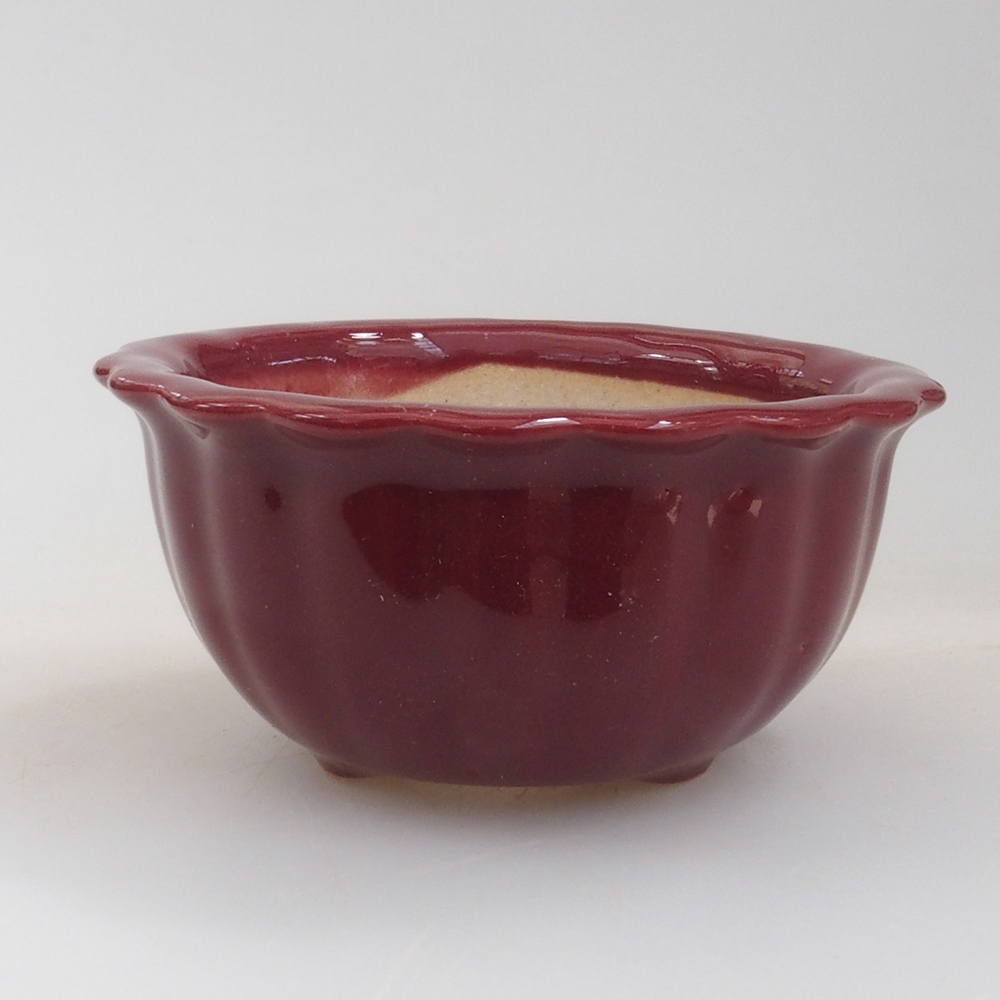 Mini bonsaischaal 6,5 x 6,5 x 3,5 cm, bordeauxrood