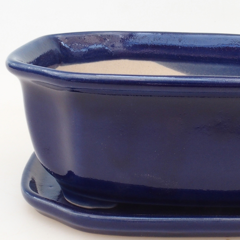 Bonsai kom + schotel H31 - blauw