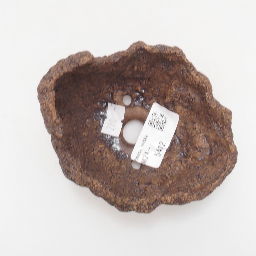 Keramisch Schelp 9 x 8 x 8,5 cm , kleur bruin