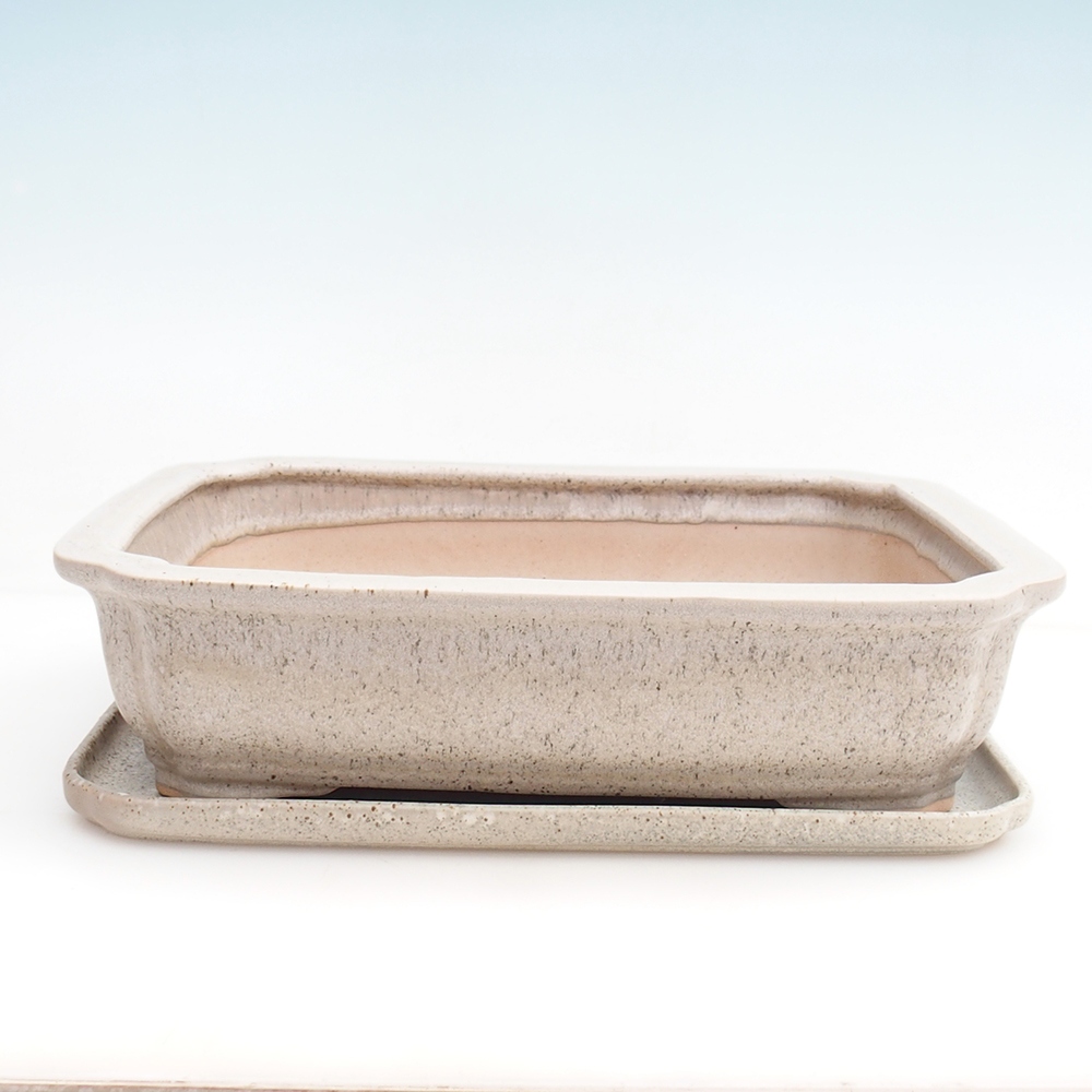 Bonsaischaal + schotel H07 - 30 x 20,5 x 8 cm.