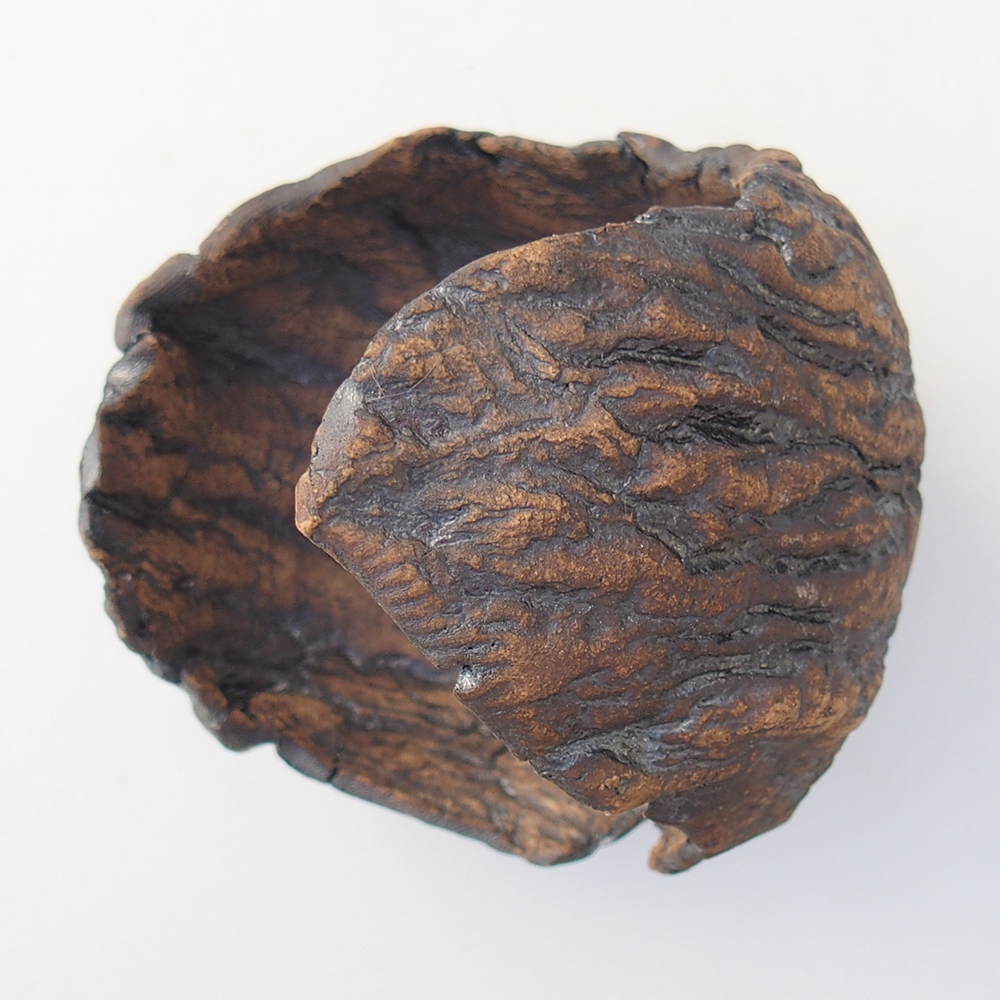 Keramisch Schelp 9,5 x 9 x 12 cm , kleur bruin