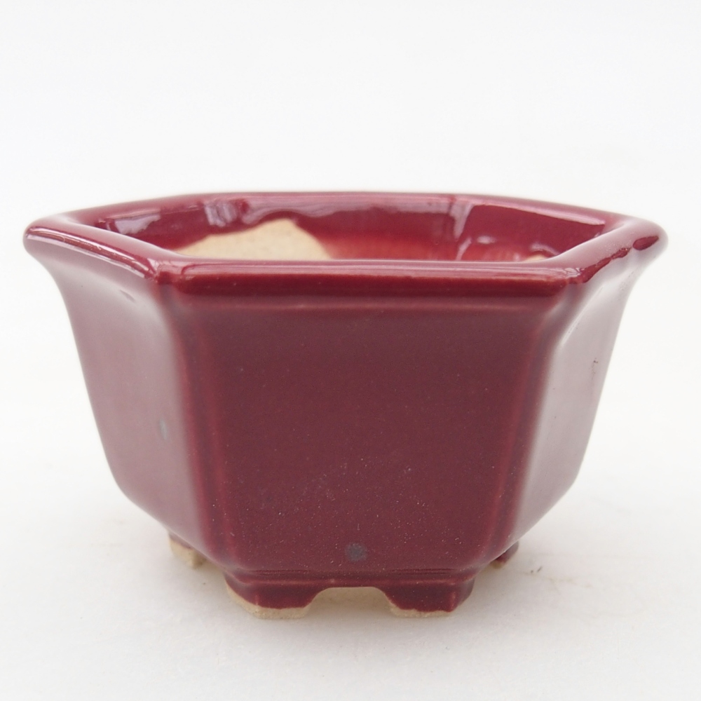 Mini bonsaischaal 5 x 4,5 x 3 cm, bordeauxrood