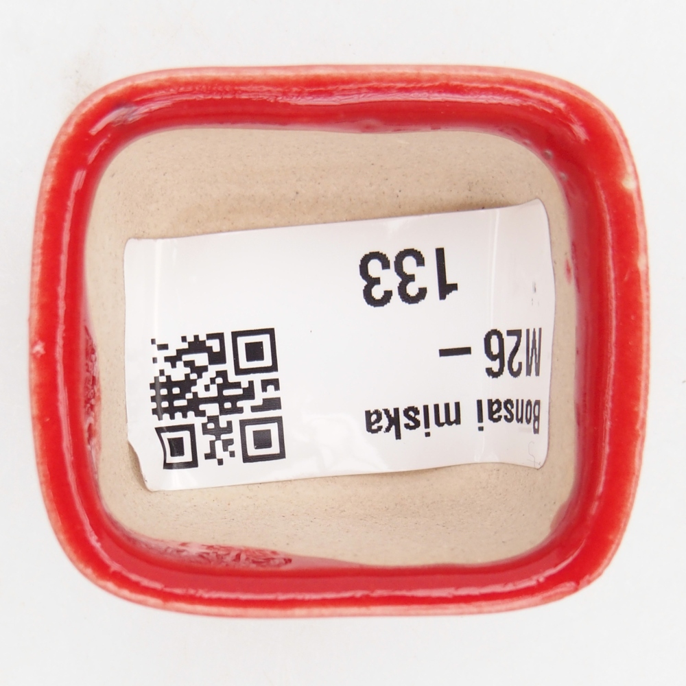 Mini bonsaischaal 4 x 3,5 x 2,5 cm, kleur rood