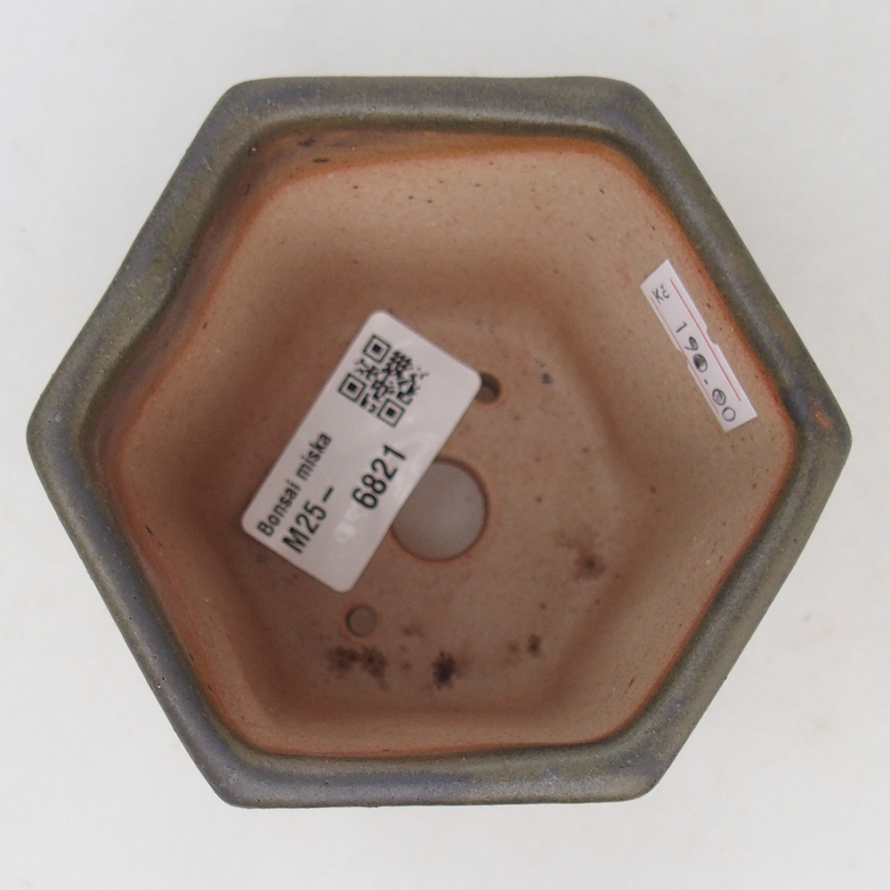 Bonsaischaal van keramiek 9,5 x 8,5 x 8 cm, groen