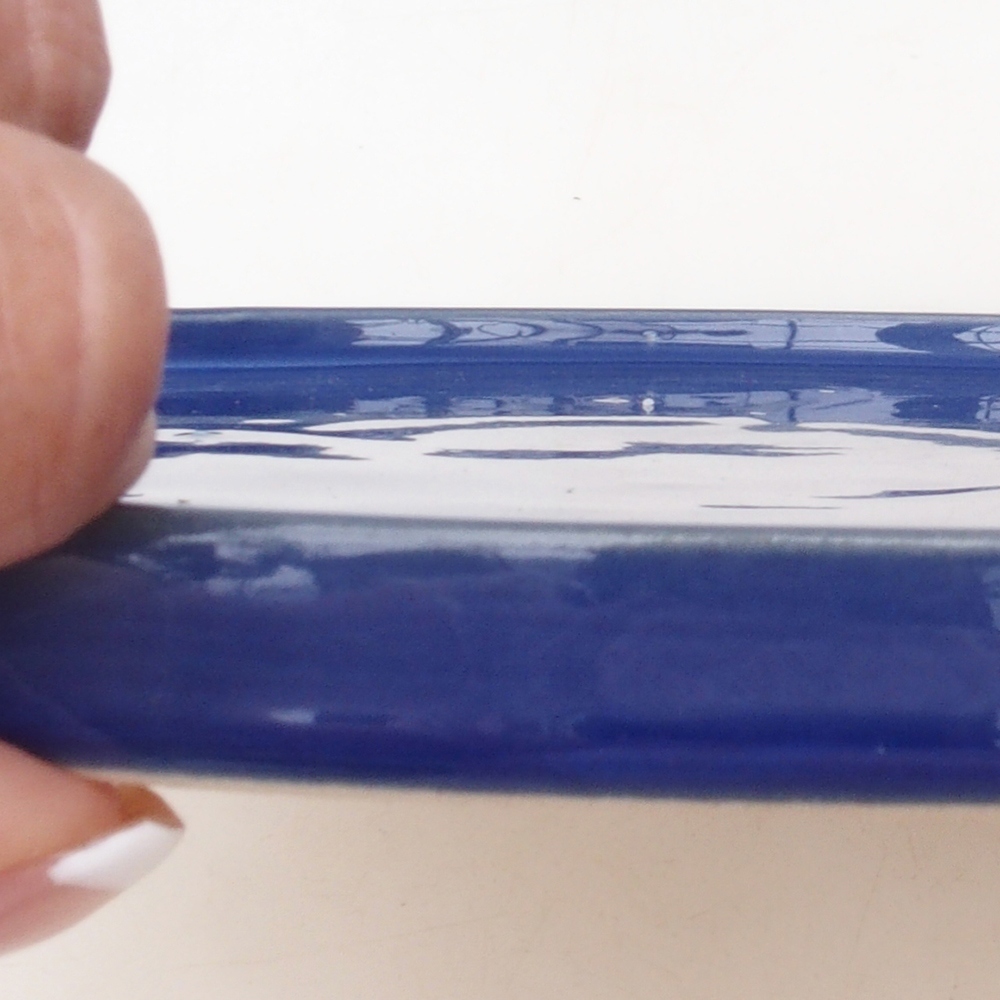 Ronde Bonsai Container D7-L - 28 x 28 x 1,5 cm - blauw