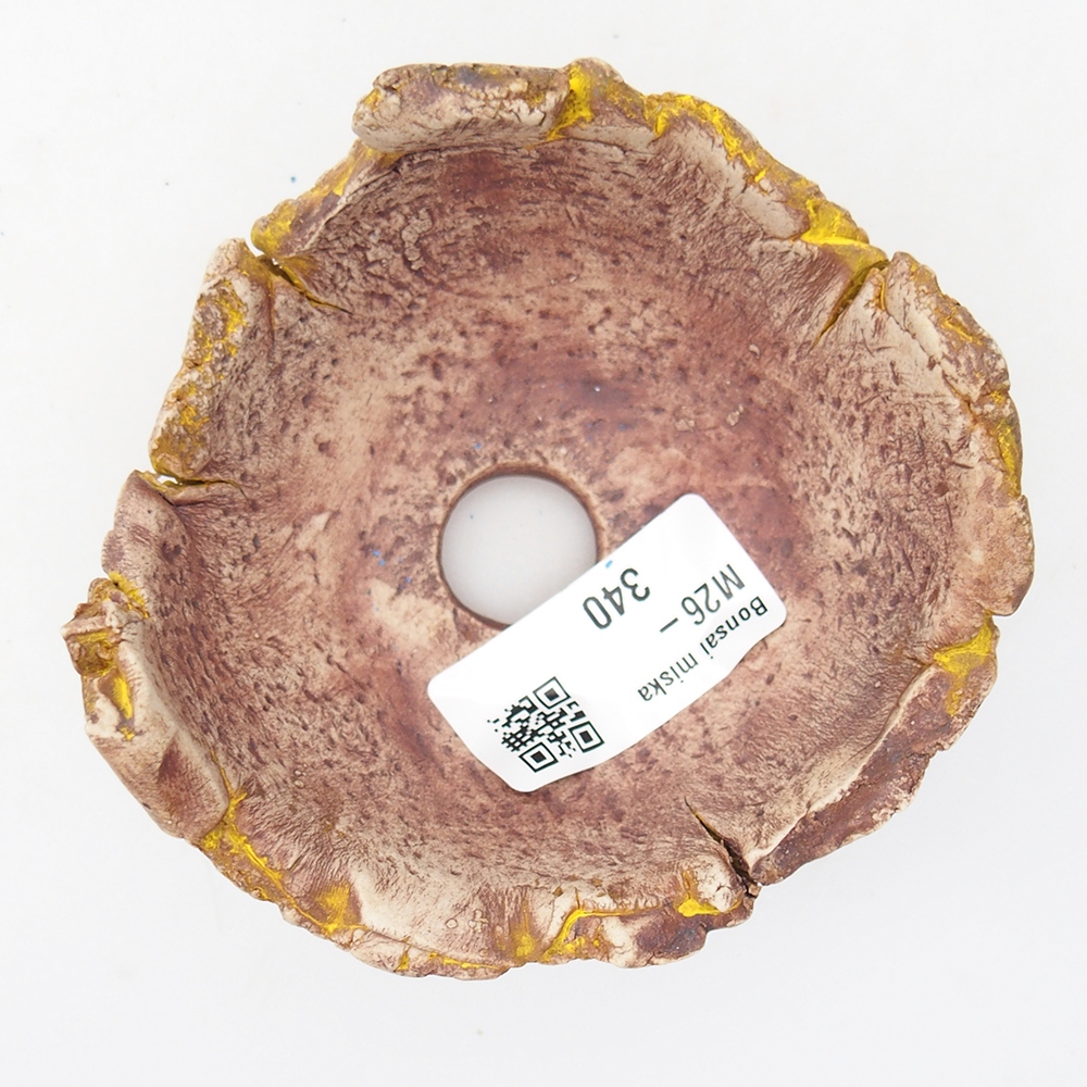 Keramische schelp 9 x 9 x 5,5 cm , geel