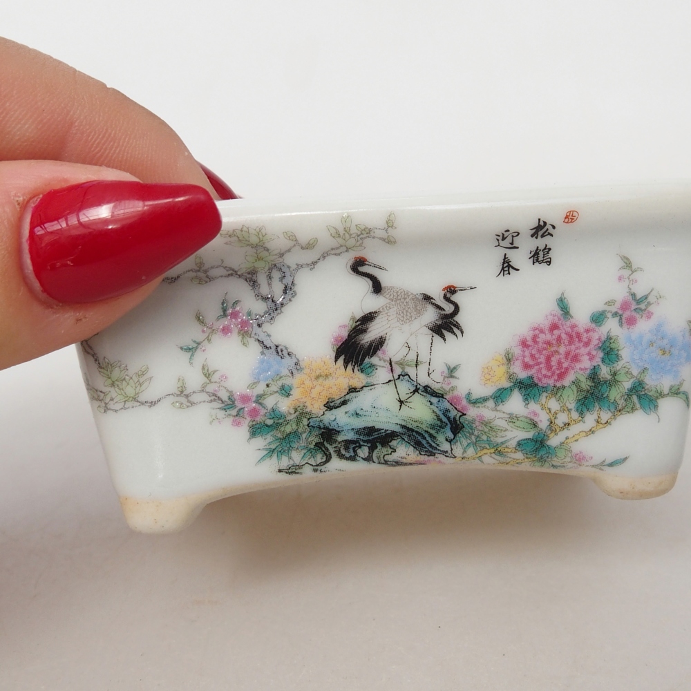 Mini bonsaischaal 8 x 6,5 x 3,5 cm, wit