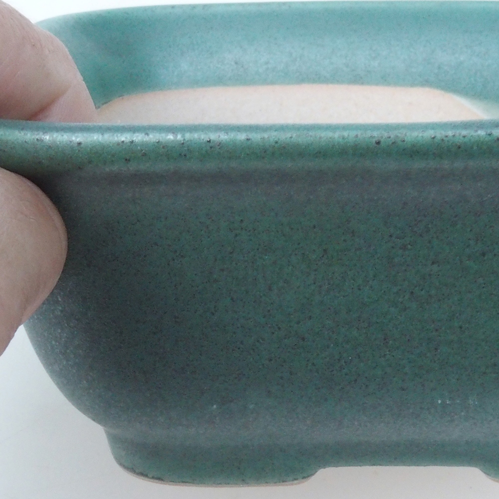 Bonsaischaal H38 - 12 x 10 x 5,5 cm - groen