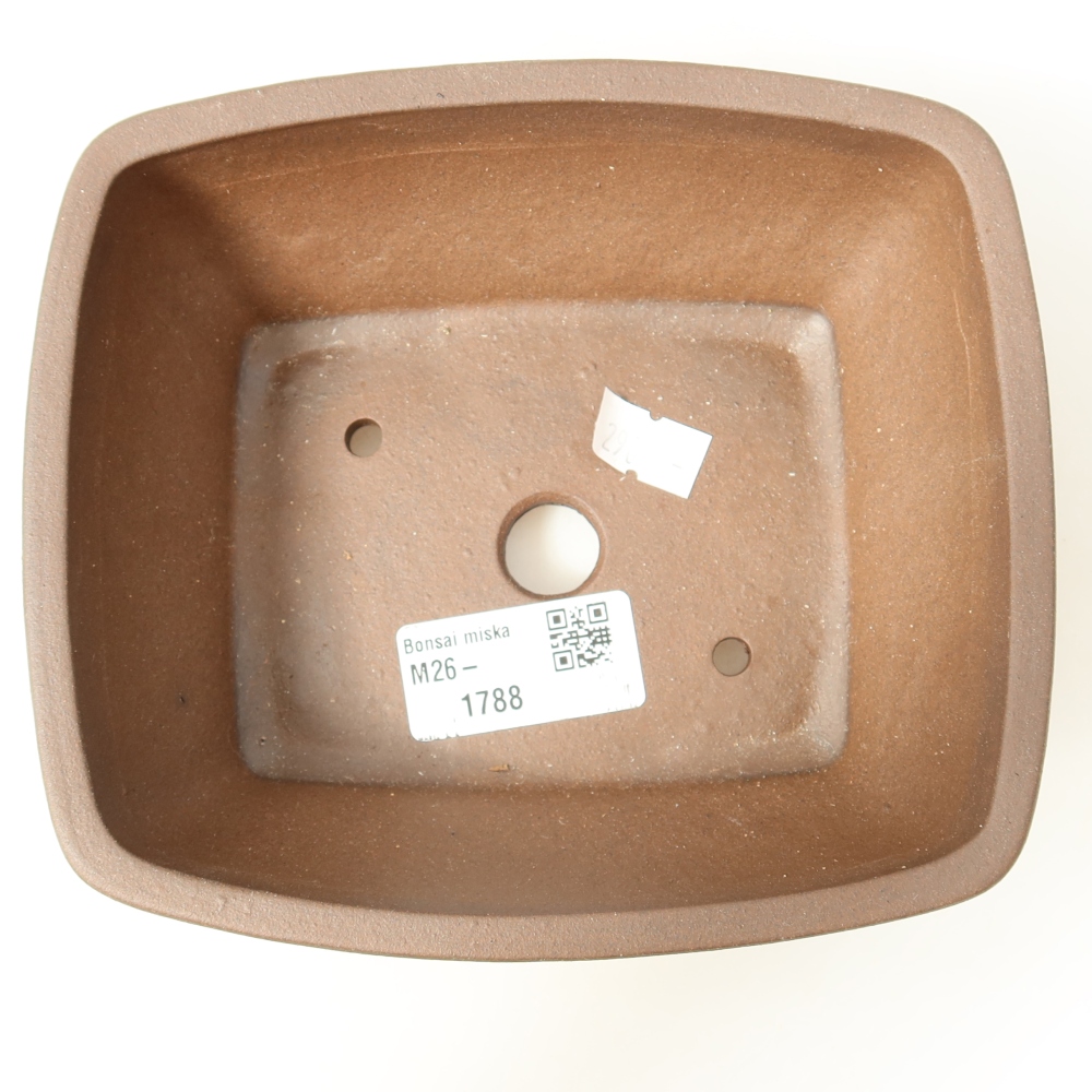 Keramische bonsaischaal 15 x 13,5 x 5,5 cm, kleur bruin