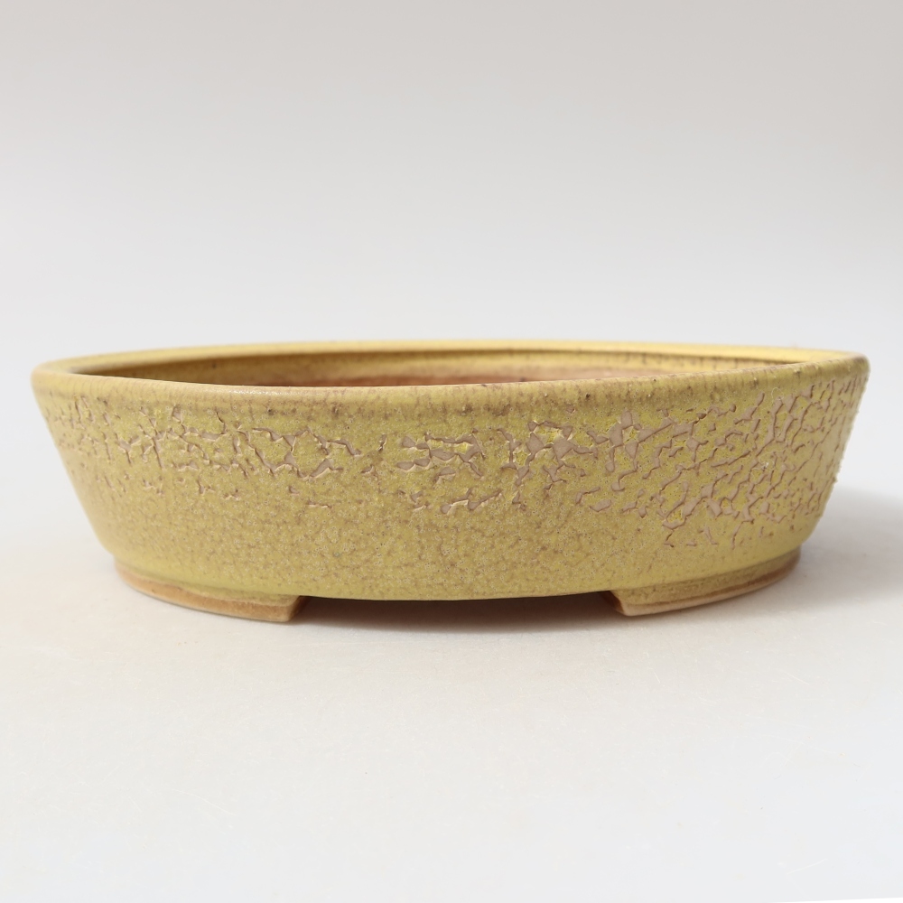 Keramische bonsaipot 18,5 x 16,5 x 4,5 cm, kleur geel