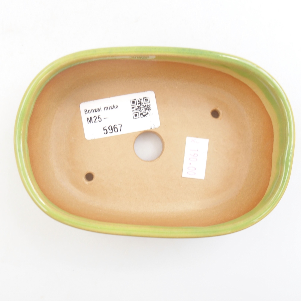 Bonsaischaal van keramiek 22 x 17 x 5 cm, groen