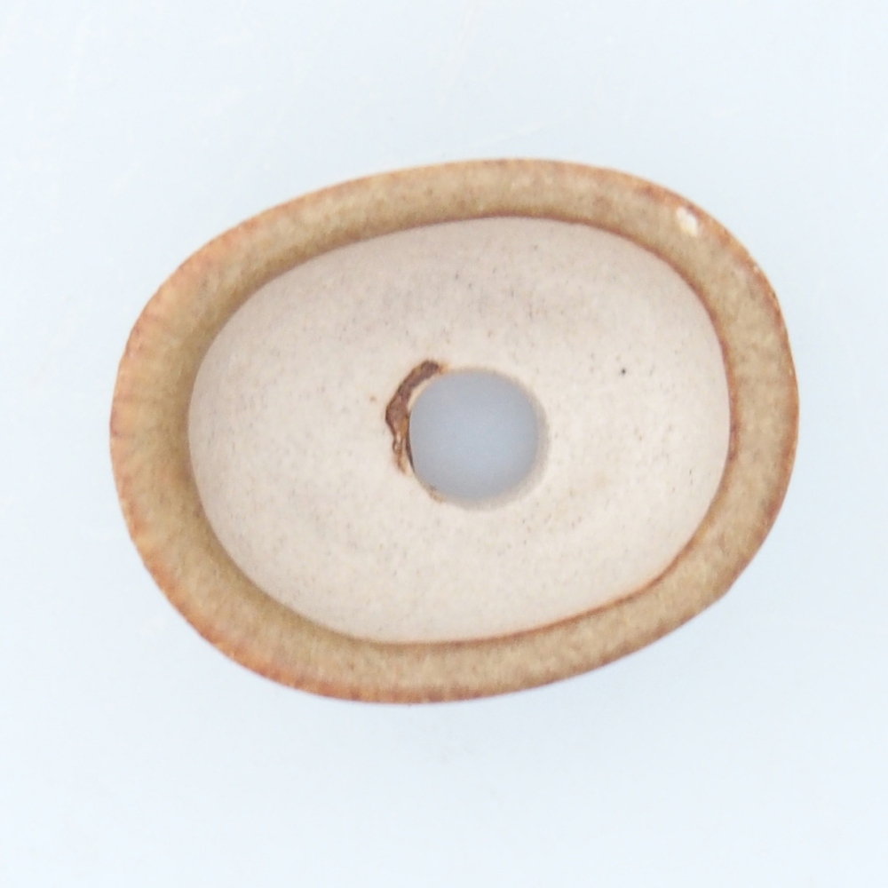 Mini bonsaischaal 2,5 x 2 x 1,5 cm, bruin