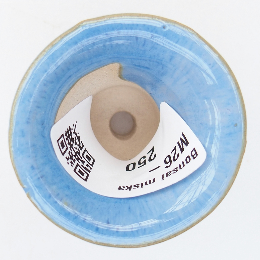 Mini bonsaischaal 4,5 x 4,5 x 3,5 cm, kleur blauw