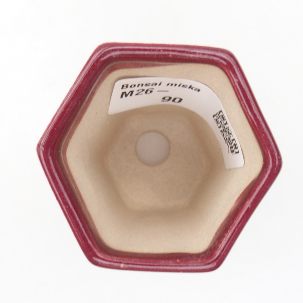 Mini bonsaischaal 5 x 4,5 x 6,5 cm, bordeauxrood