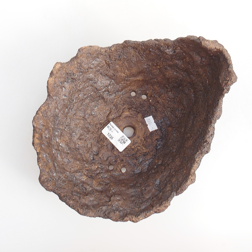 Keramisch Schelp 22 x 20 x 17,5 cm , kleur bruin