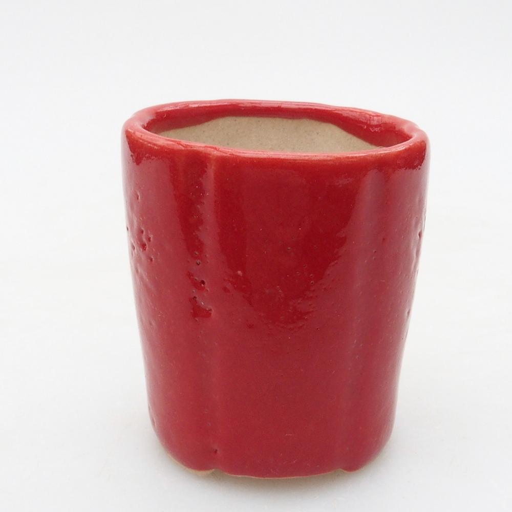 Mini bonsaischaal 3,5 x 3,5 x 4 cm, kleur rood