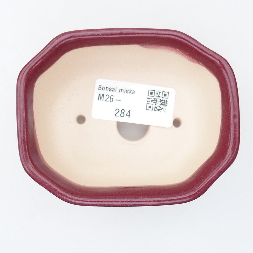 Mini bonsaischaal 9 x 7 x 4,5 cm, bordeauxrood