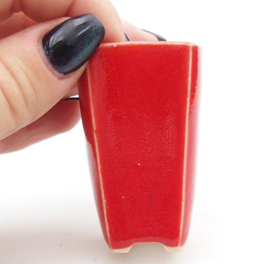 Mini bonsaischaal 3,5 x 3 x 5,5 cm, kleur rood