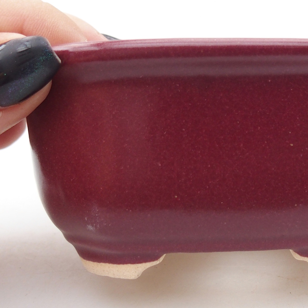 Mini bonsaischaal 9 x 7 x 4,5 cm, bordeauxrood