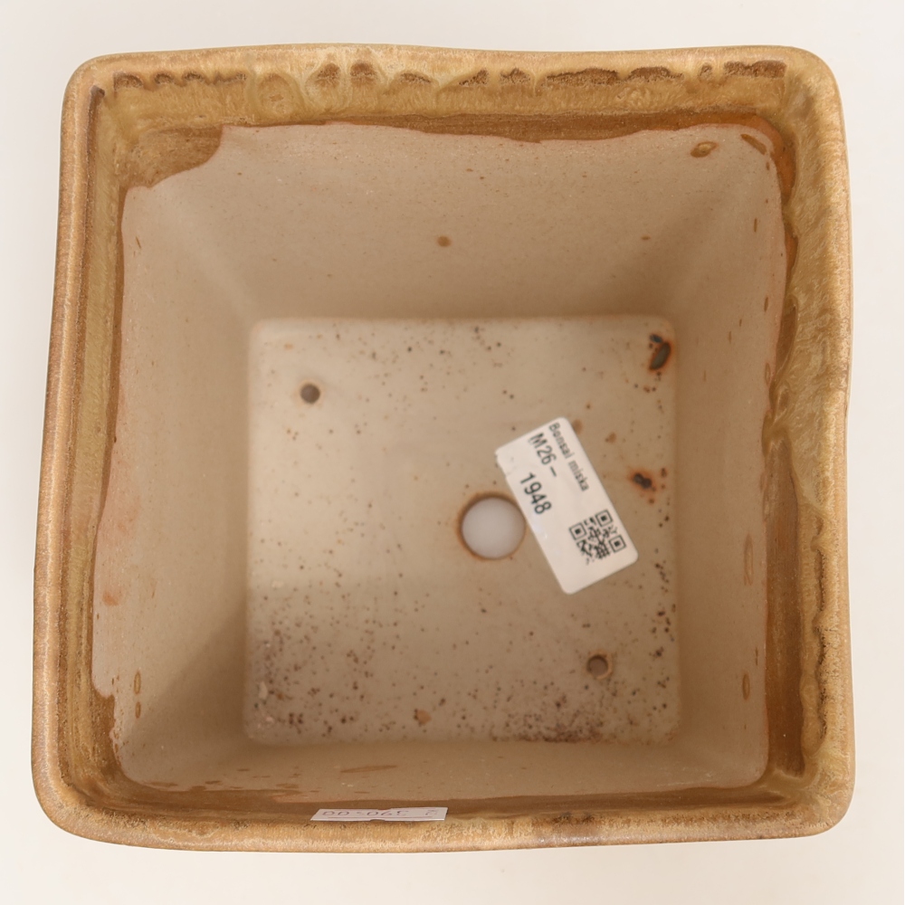 Bonsaischaal van keramiek 13 x 13 x 13,5 cm, kleur beige