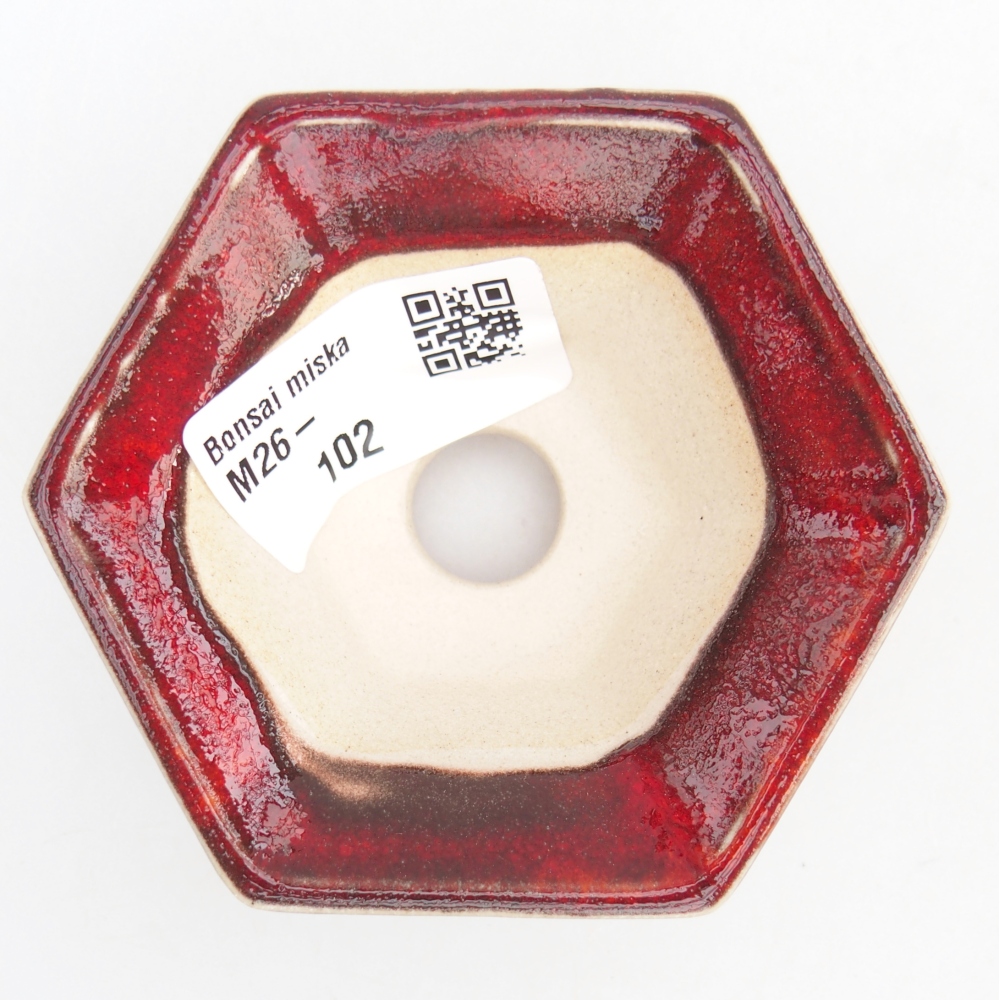 Mini bonsaischaal 8 x 7 x 3 cm, kleur rood