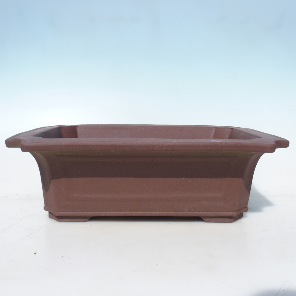 Bonsaischaal 40,5 x 31,5 x 13 cm berken bruin