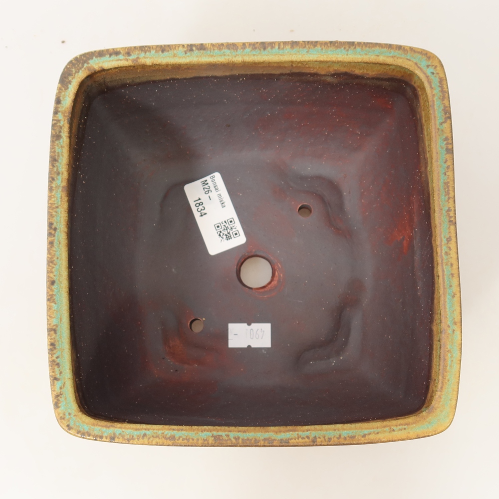 Keramische bonsaipot 16,5 x 16,5 x 9,5 cm, kleur groen