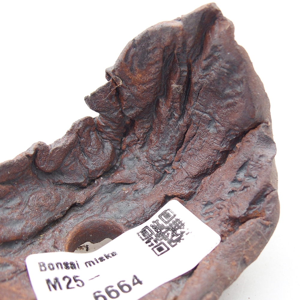 Keramisch Schelp 7,5 x 5,5 x 6 cm , kleur bruin