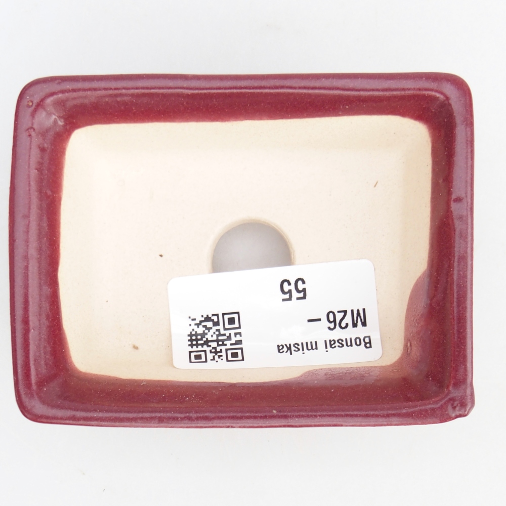 Mini bonsaischaal 8 x 6 x 2,5 cm, bordeauxrood