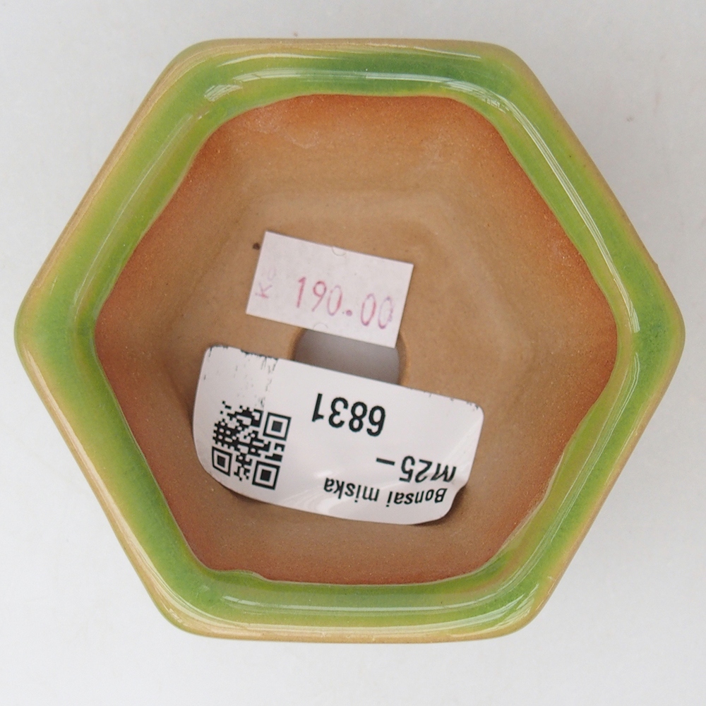 Bonsaischaal van keramiek 7,5 x 7 x 4 cm, groen